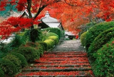 un paisaje jigsaw puzzle