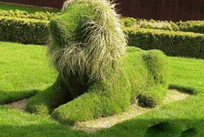 Imagem jigsaw puzzle