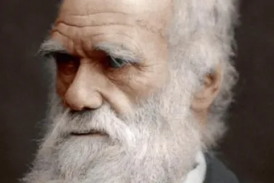 Darwin