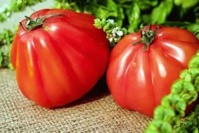 פאזל של Imagem