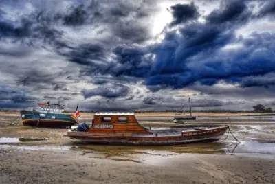 Plates  Ã©chouÃ©es jigsaw puzzle