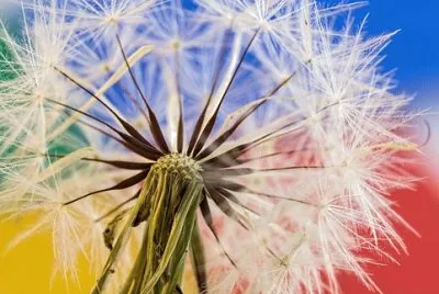 Imagem jigsaw puzzle