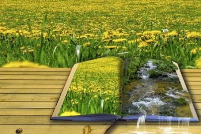 Imagem jigsaw puzzle