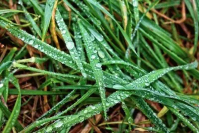 Imagem jigsaw puzzle