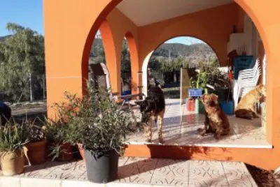 FORESTS HOUSE jigsaw puzzle