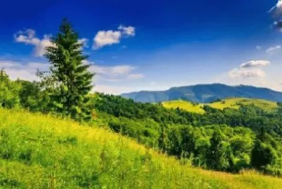 Nature jigsaw puzzle