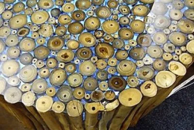 arte