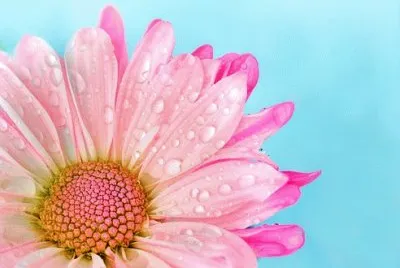 Imagem jigsaw puzzle