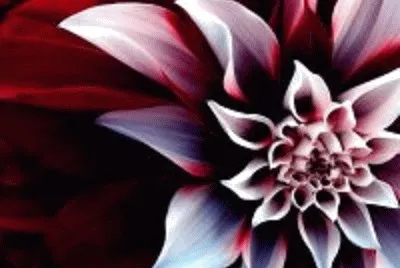 Imagem jigsaw puzzle