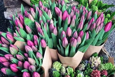 flores jigsaw puzzle