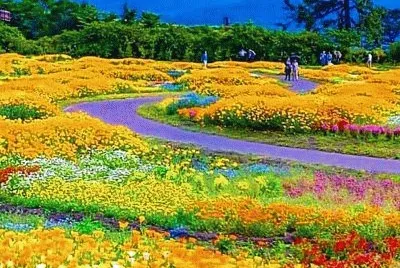 Imagem jigsaw puzzle