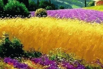 Imagem jigsaw puzzle