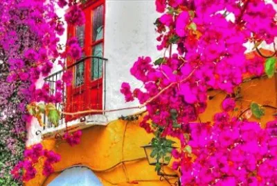 Imagem jigsaw puzzle