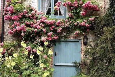 flores jigsaw puzzle