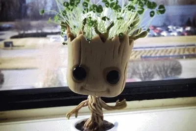 Imagem jigsaw puzzle