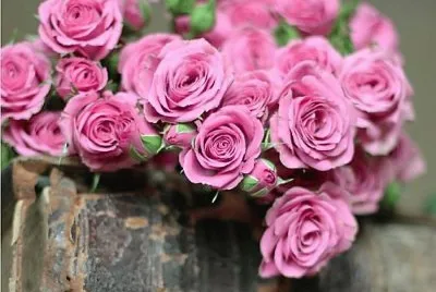 flores jigsaw puzzle