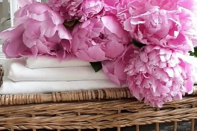 flores jigsaw puzzle