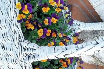 flores jigsaw puzzle