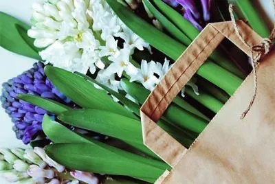 flores jigsaw puzzle