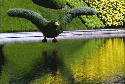 Imagem jigsaw puzzle