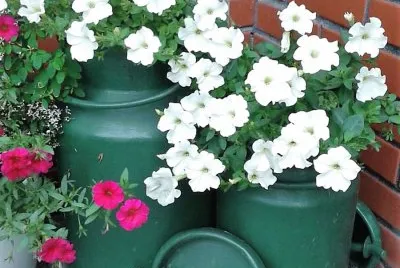 flores jigsaw puzzle