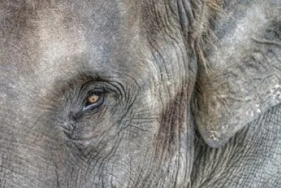 Imagem jigsaw puzzle