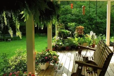 natural jigsaw puzzle