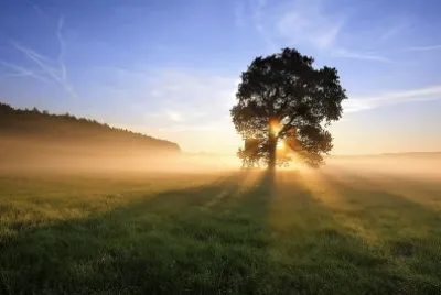 natural jigsaw puzzle