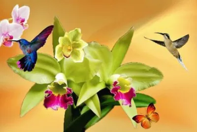 Foto jigsaw puzzle