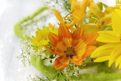Foto jigsaw puzzle