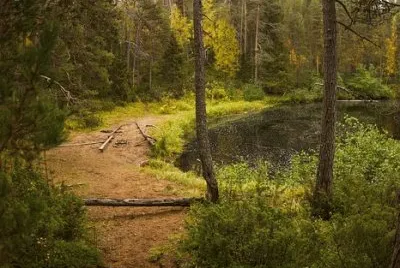 Imagem jigsaw puzzle