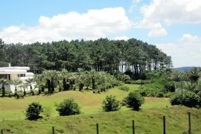 CampiÃ±a uruguaya. jigsaw puzzle