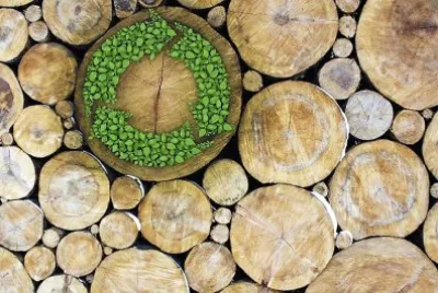 natural jigsaw puzzle