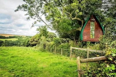natural jigsaw puzzle