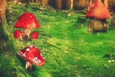 Imagem jigsaw puzzle