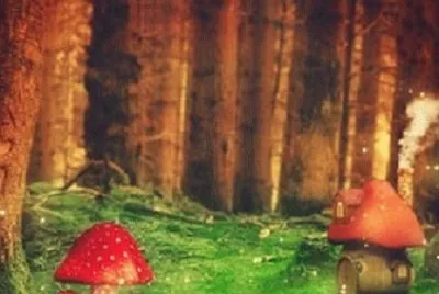 Imagem jigsaw puzzle