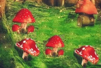 Imagem jigsaw puzzle