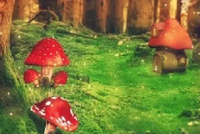 Imagem jigsaw puzzle