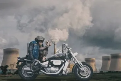 Imagem jigsaw puzzle