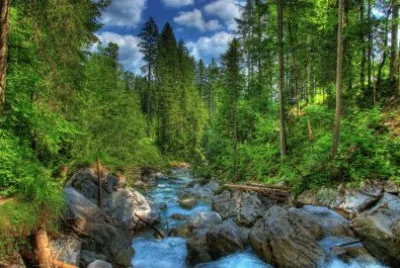 Nature jigsaw puzzle