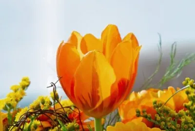 פאזל של Imagem