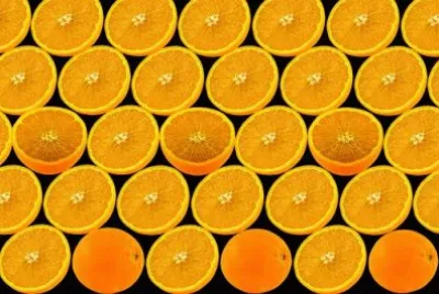 פאזל של Imagem