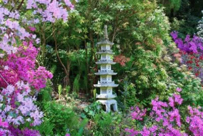 פאזל של Imagem