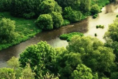 Nature jigsaw puzzle