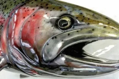 Imagem jigsaw puzzle