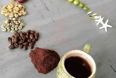 cafe