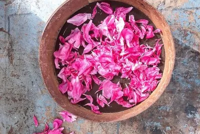 flores jigsaw puzzle