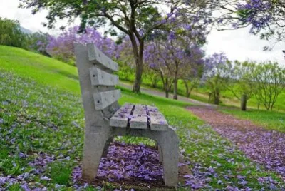 Imagem jigsaw puzzle