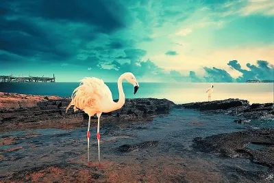 arte