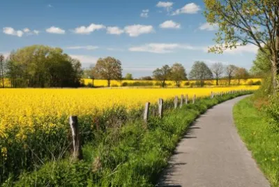 Summer in Schleswig-Holstein